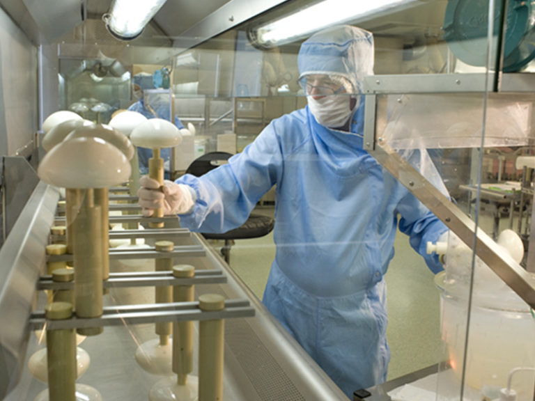 Implantate von Sebbin